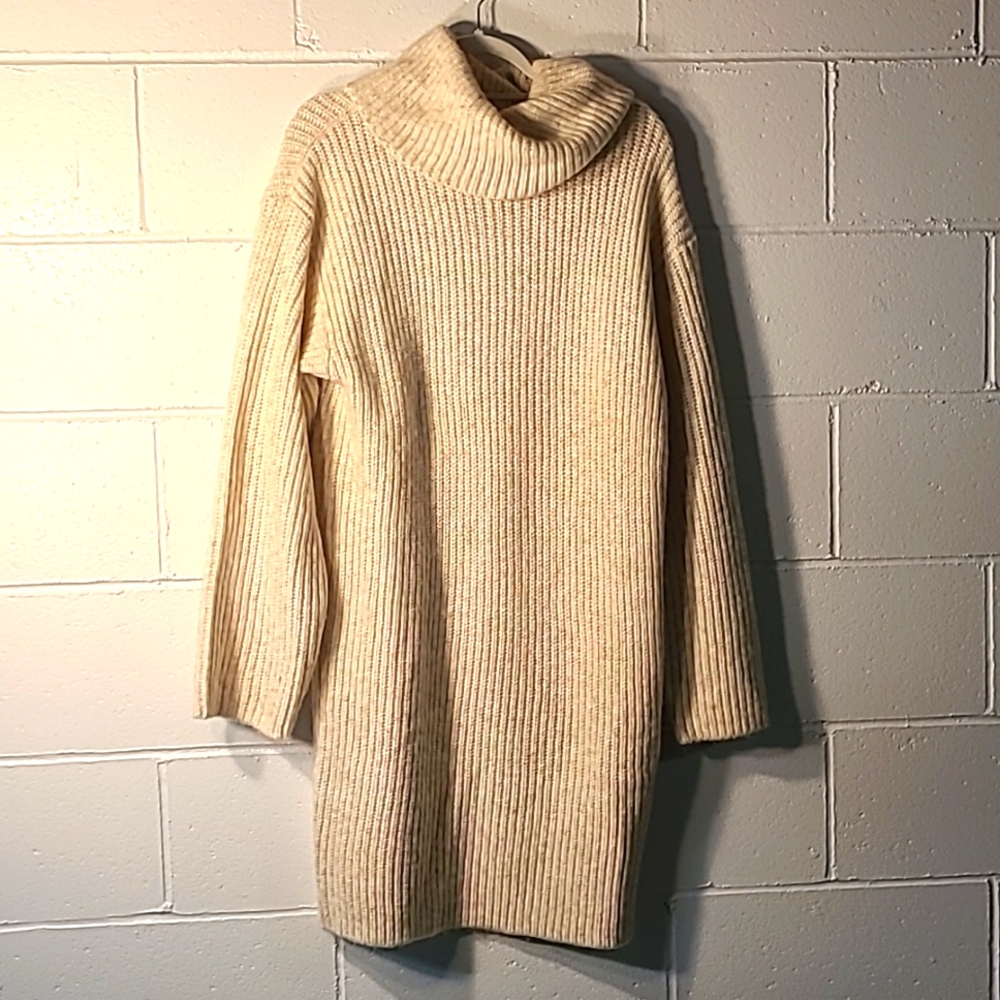 Express Sweater Dress